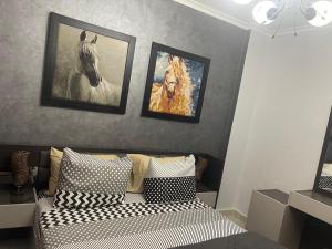 Cozy Comfort Flat , Madinaty