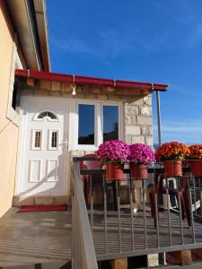 Studio apartman Milena 1