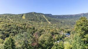 402 - Treehouse Condo - Spruce Peak - Stowe Mt Resort - Ski in Ski Out - Sleeps 9