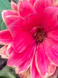 zimmer 4 mit gemeinsam dusche und Küche