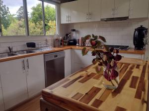 Light-filled Nature Haven Eco Home