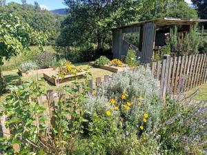 Light-filled Nature Haven Eco Home