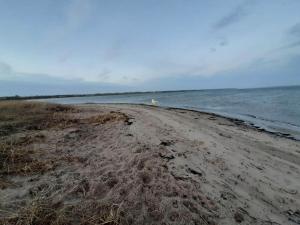 Spacious Retreat by Limfjorden - By Traum Ferienwohnungen