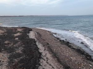 Spacious Retreat by Limfjorden - By Traum Ferienwohnungen