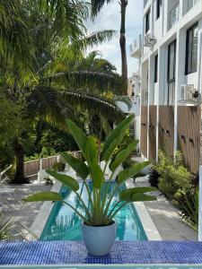 Kainos Tropical Boutique Hotel