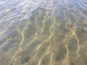 8 person holiday home in Væggerløse