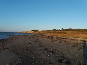 10 person holiday home in Løgstør-By Traum