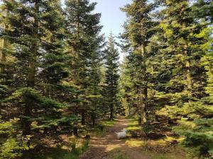 Family Cottage with Terrace and Lawn