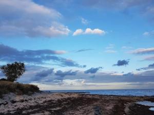 8 person holiday home in Væggerløse-By Traum