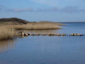 6 person holiday home in Hemmet-By Traum