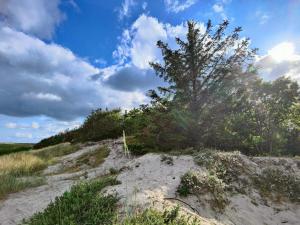 7 person holiday home in Hals-By Traum