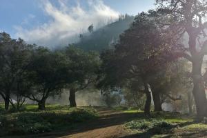 Harrison Serenity Ranch - Groups over 50