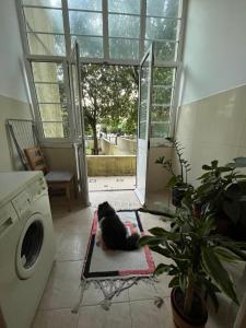 Комната с двуспальной кроватью в уютных апартаментах