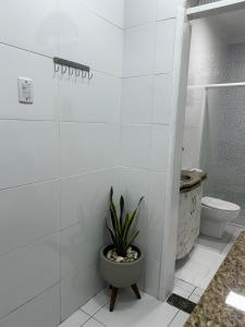 COP30 Perfect for Delegations and Teams