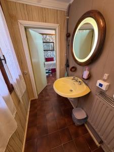 Just for Single Exclusive Lionsclass