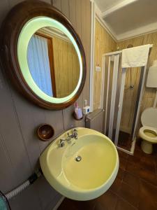 Just for Single Exclusive Lionsclass