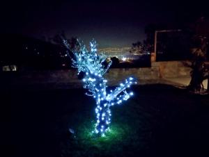 Casa Miranda - family comfort in a quiet area, near the sea, with BBQ and FREE parking