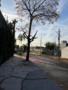 LOFT 9 - Apartamento Loft 09 Próximo ao Shopping Buriti