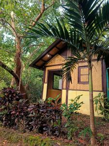 Busuanga Backpackers