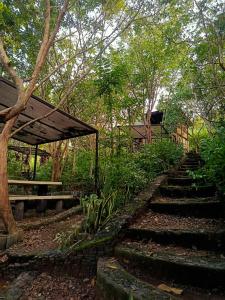 Busuanga Backpackers