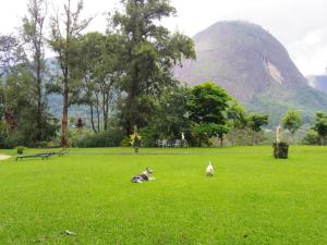 Country house with pool and stunning view!
