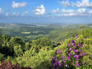 Hilltop escape at The Rock