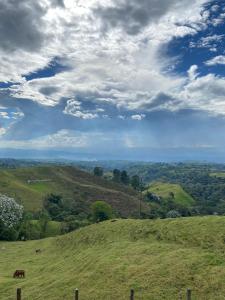 Apartamento en el Eje Cafetero amoblado y con piscina en conjunto privado
