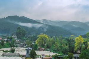 Ping fai camp inthanon