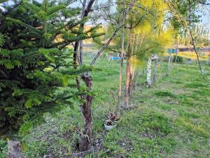 La casita de Don Emilio