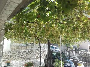 Apartment Crikvenica 6