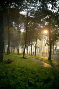 Homexinh Celadon City