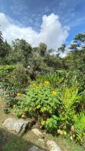 Casa campestre Finca Renacer