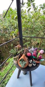 Casa campestre Finca Renacer