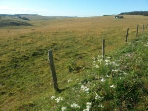 Campings Domaine de l'Ours / Camping Lodge : photos des chambres