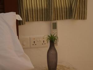 Ocean Views, Steps to the Shore