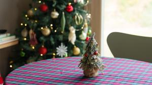 Jeju moridarakbang pension