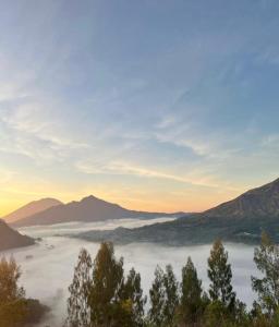 Pinggan Mountain View Batur