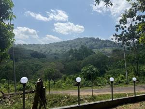 Rock Hill - Pachakkad Home Stay