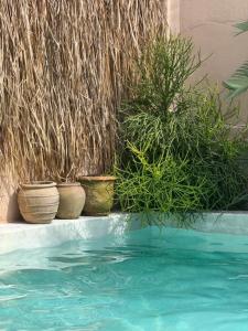 The Latte Home Phan Thiet