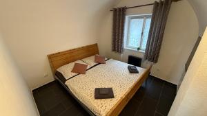 Apartment Široká 52