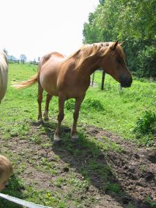 B&B / Chambres d'hotes Bulles et Natures B&B : photos des chambres