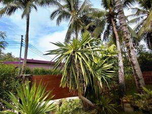 Nathan Breeze Resort