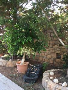 Studios Irene Patmos Greece
