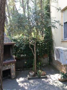 Apartment Eurocoli Rezidence