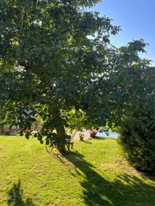 Pleasant cottage in a secluded area