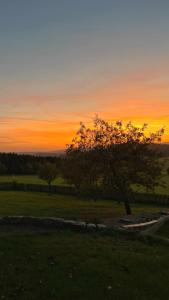 Pleasant cottage in a secluded area
