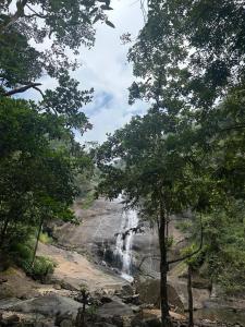 Enhance Lifestyle Service Apartments