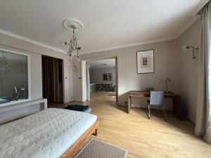 Main Square spacious studio with bathtub