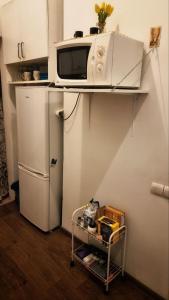 Apartment in the center