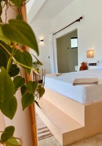 Calma Cafe - Surf, Stay and Yoga